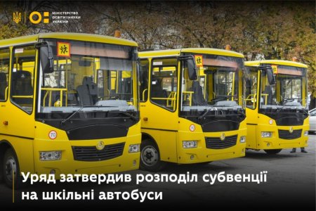 Житомирщина отримає 38 млн грн субвенції на придбання шкільних автобусів