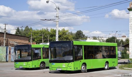 Комунальні автобуси у Житомирі можуть не вийти на маршрути 11 березня
