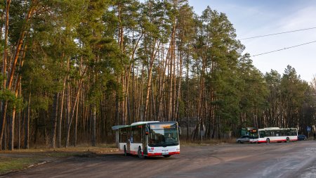 Перемовини тривають: чи виїдуть завтра на маршрути комунальні автобуси у Житомирі?