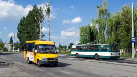 У Житомирі оголосять конкурс на визначення перевізників для 12 автобусних маршрутів