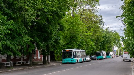Як дістатися до міського кладовища у Житомирі