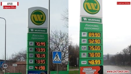 Як за місяць змінилися ціни на пальне у Житомирі