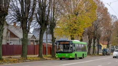 Чому автобусний маршрут №44 знову має курсувати до Малинського ринку